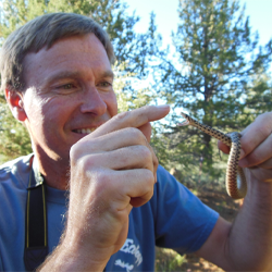 university of utah anthropology phd